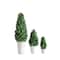 Hello Honey® 17'' Boxwood Cone Topiary in White Clay Pot